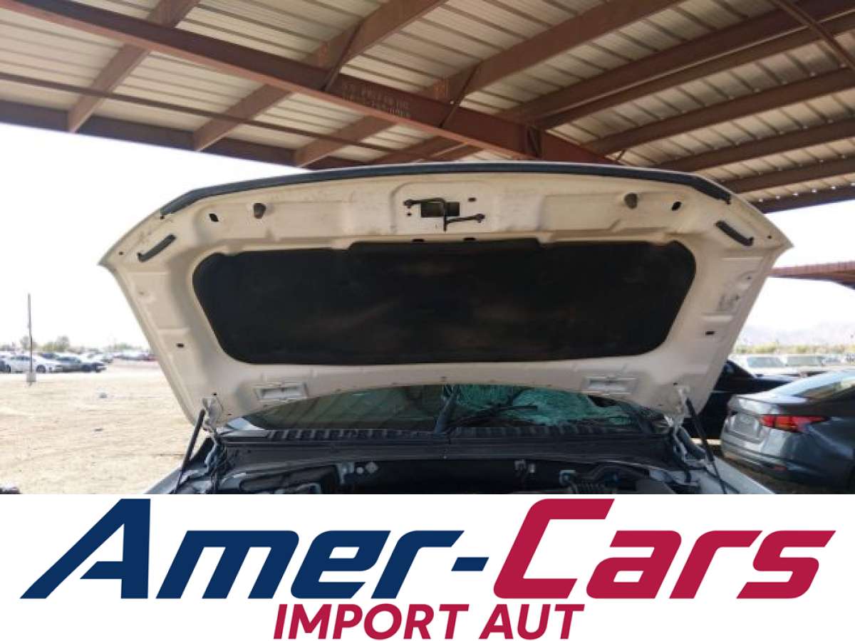 Ford Expedition 2020 z USA — zdjęcie 10 z 17