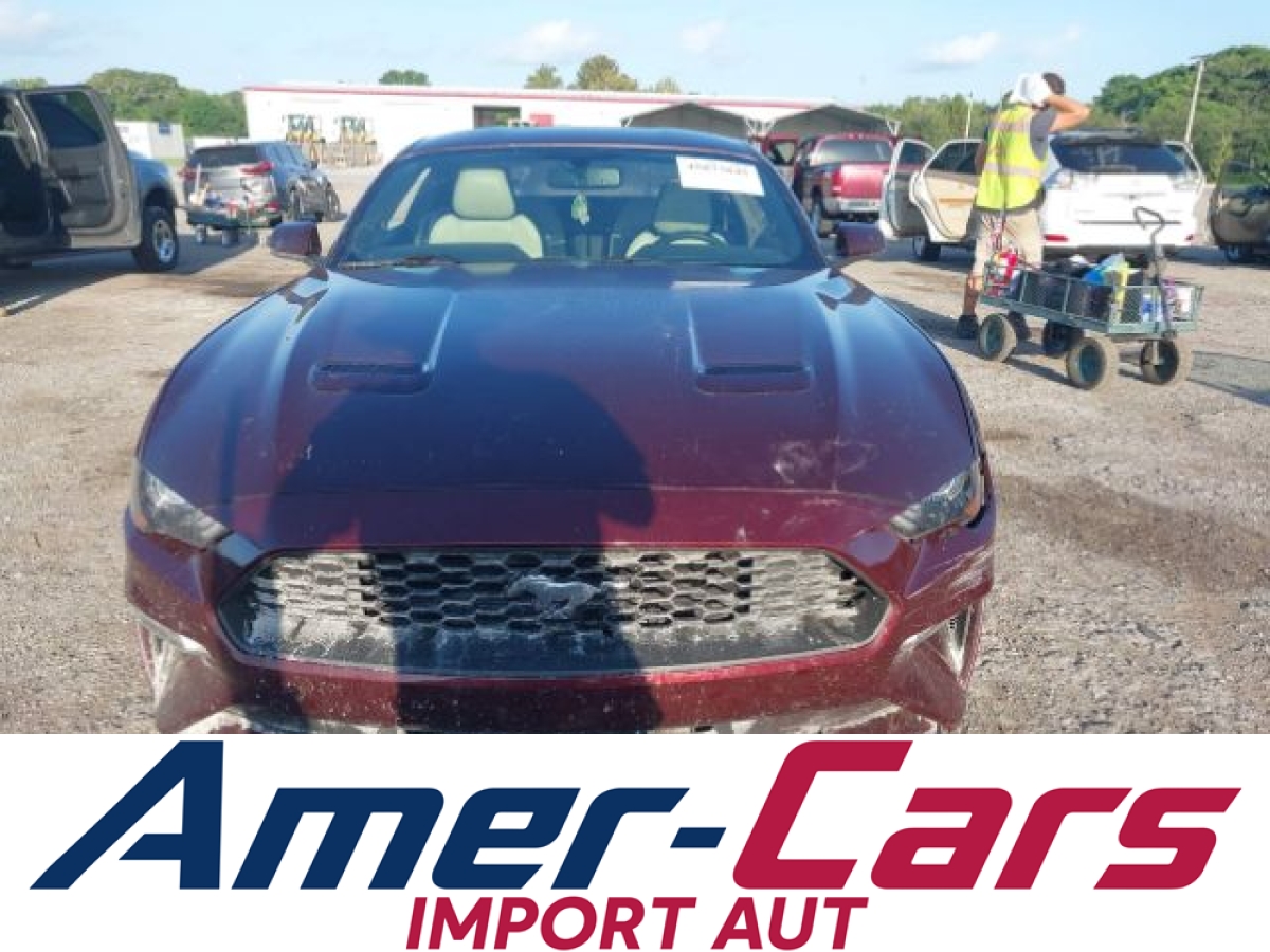 Ford Mustang 2018 z USA — zdjęcie 12 z 16