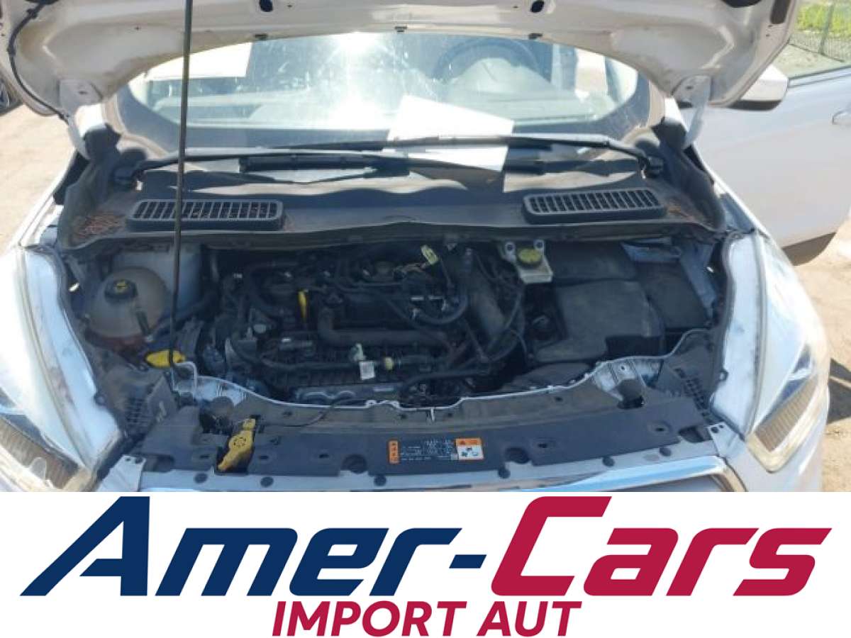 Ford Escape 2019 z USA — zdjęcie 10 z 16