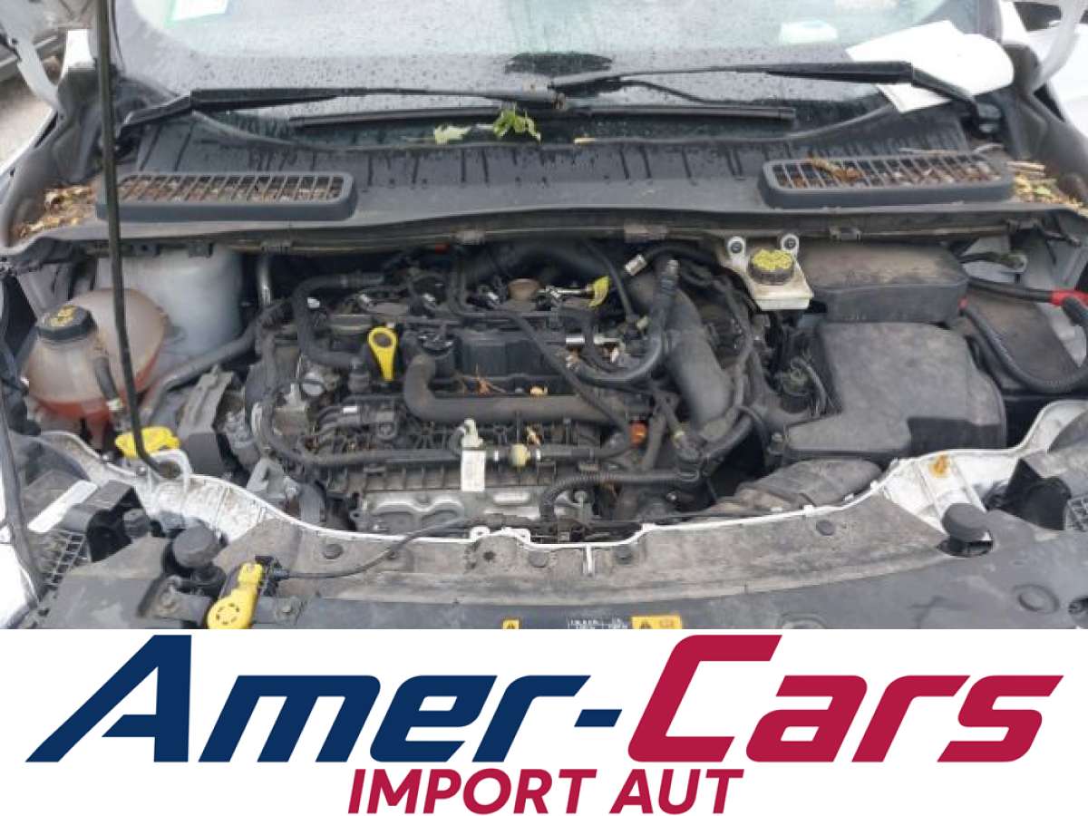 Ford Escape 2019 z USA — zdjęcie 10 z 16