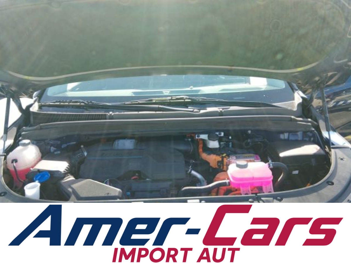 Kia Carnival 2025 11