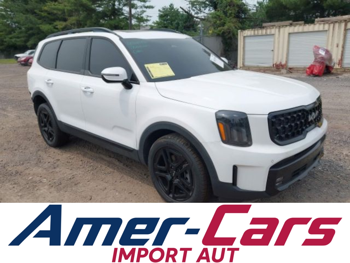 Kia Telluride 2024 2