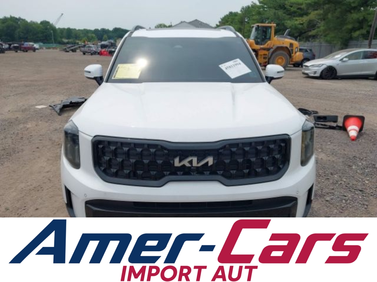 Kia Telluride 2024 12