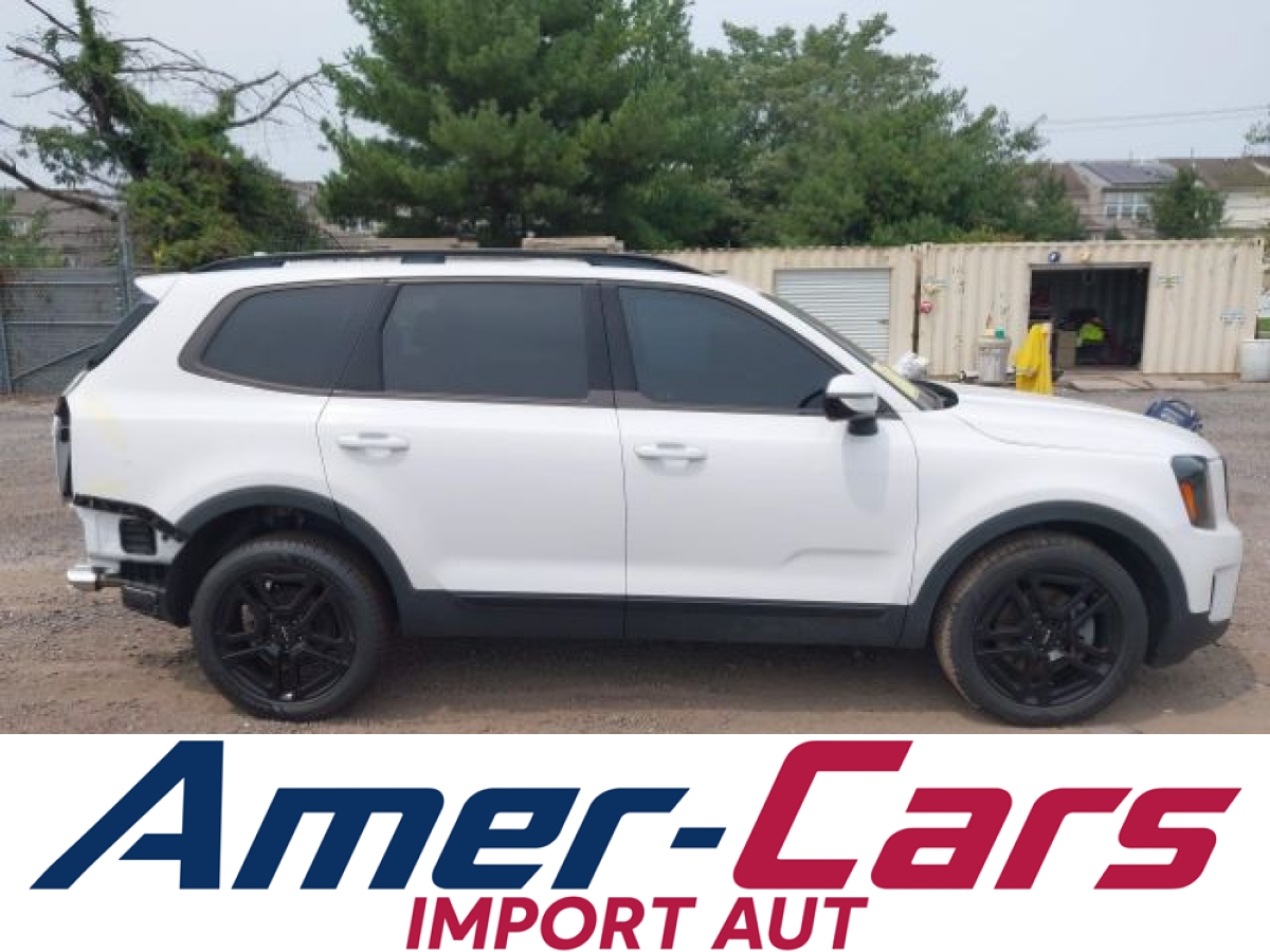 Kia Telluride 2024 13