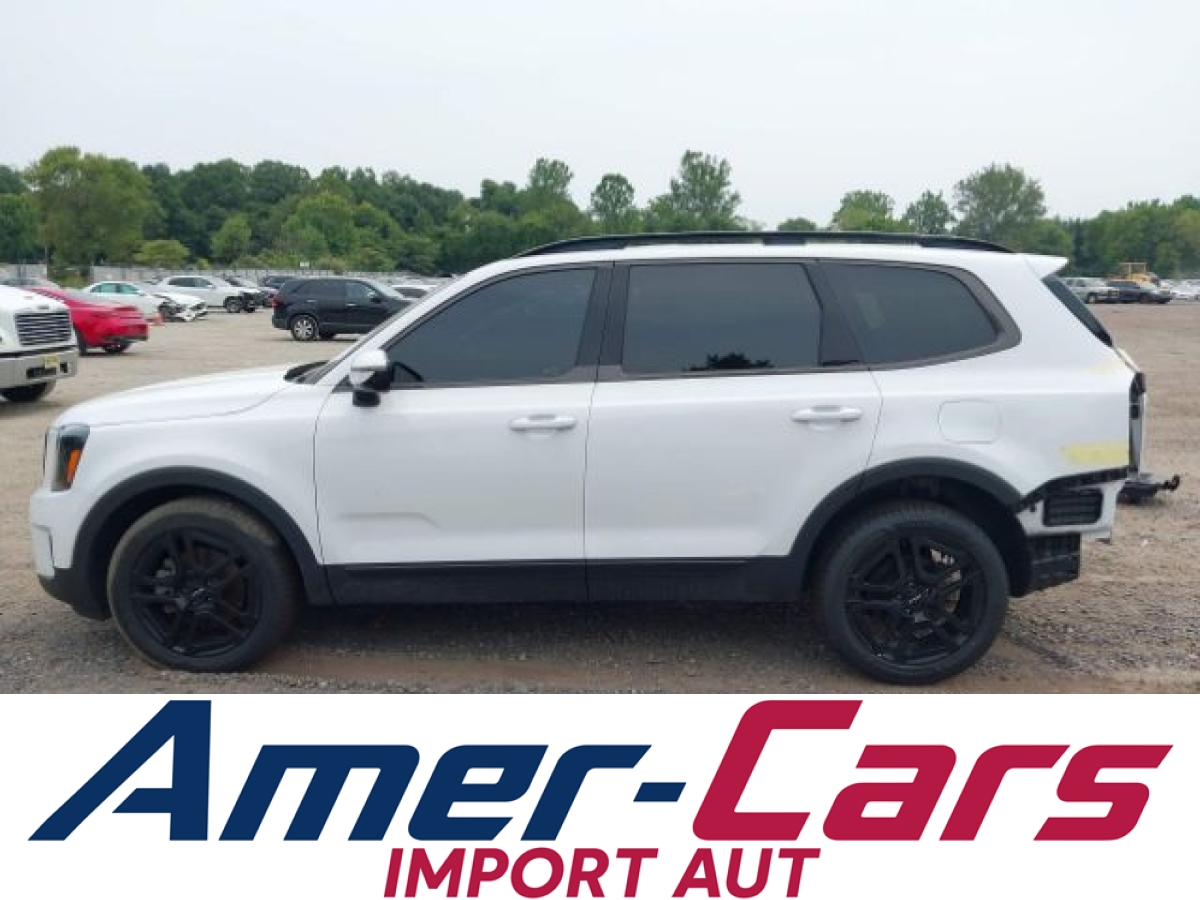 Kia Telluride 2024 14