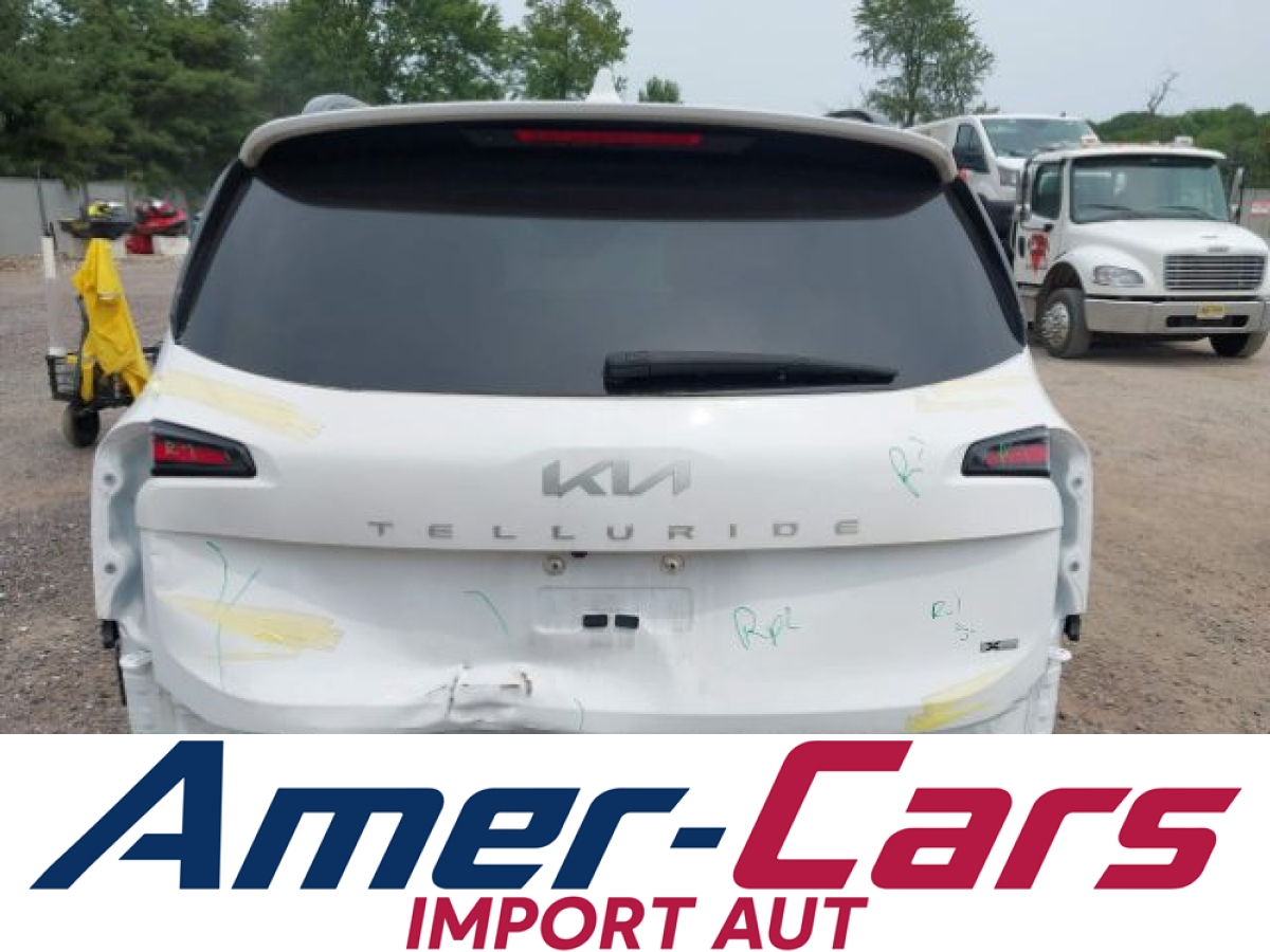 Kia Telluride 2024 16