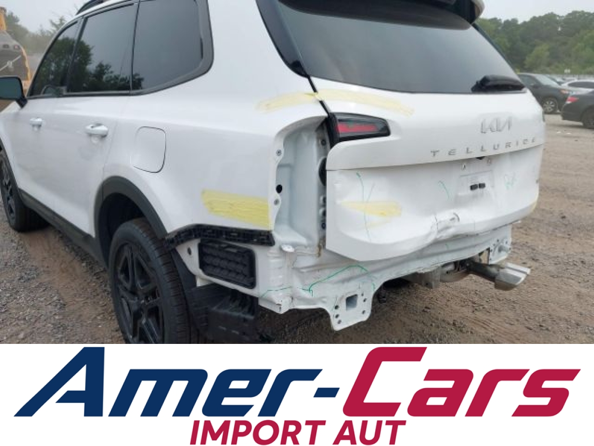Kia Telluride 2024 17