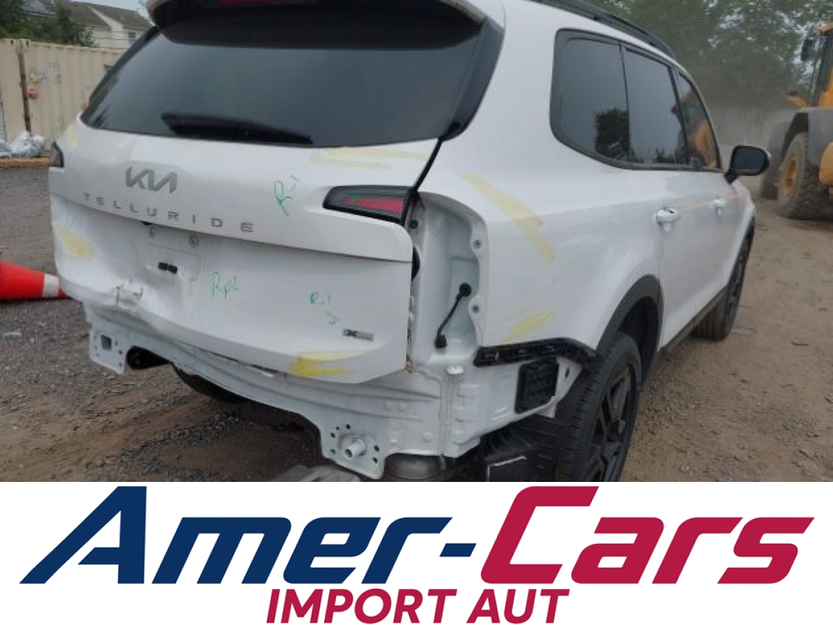 Kia Telluride 2024 18