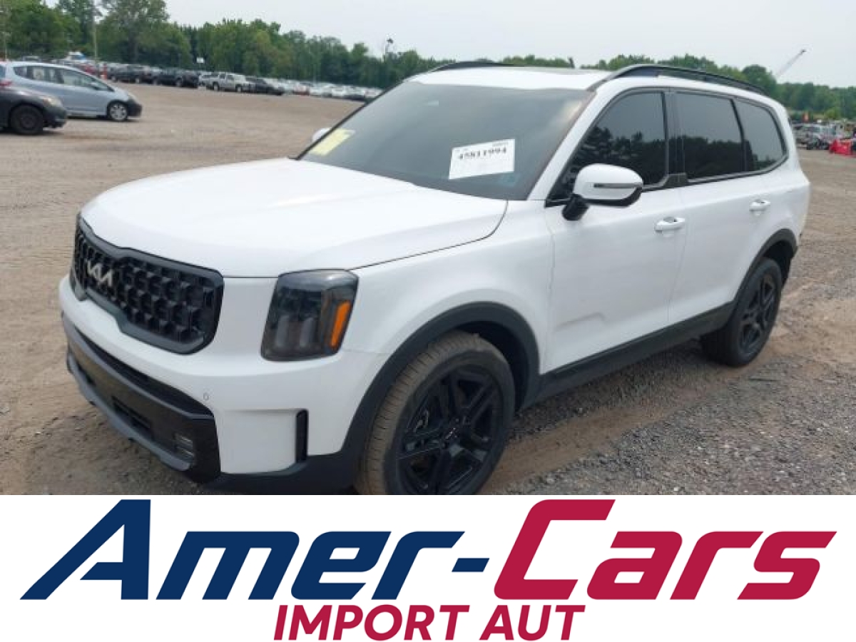 Kia Telluride 2024 3