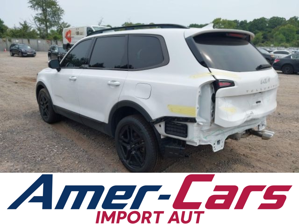 Kia Telluride 2024 4