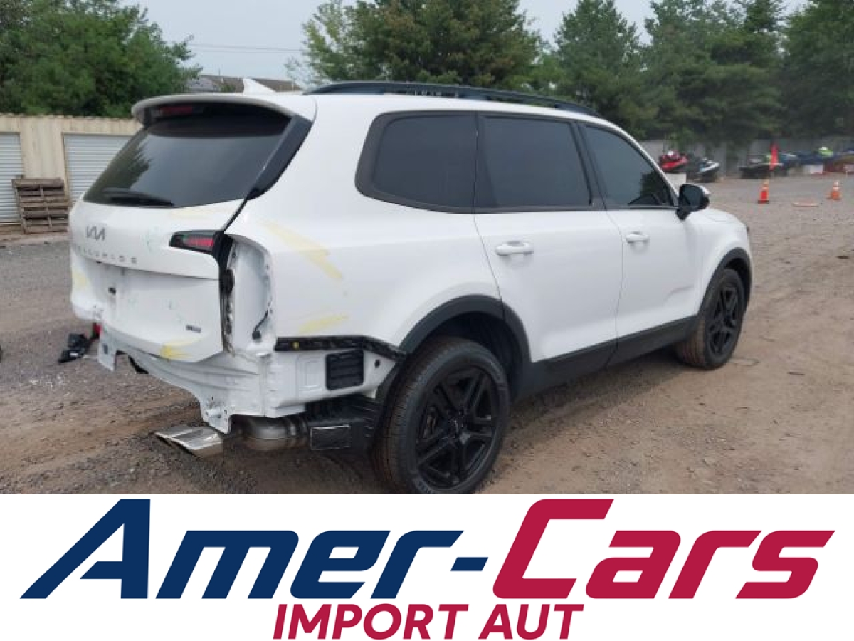 Kia Telluride 2024 5