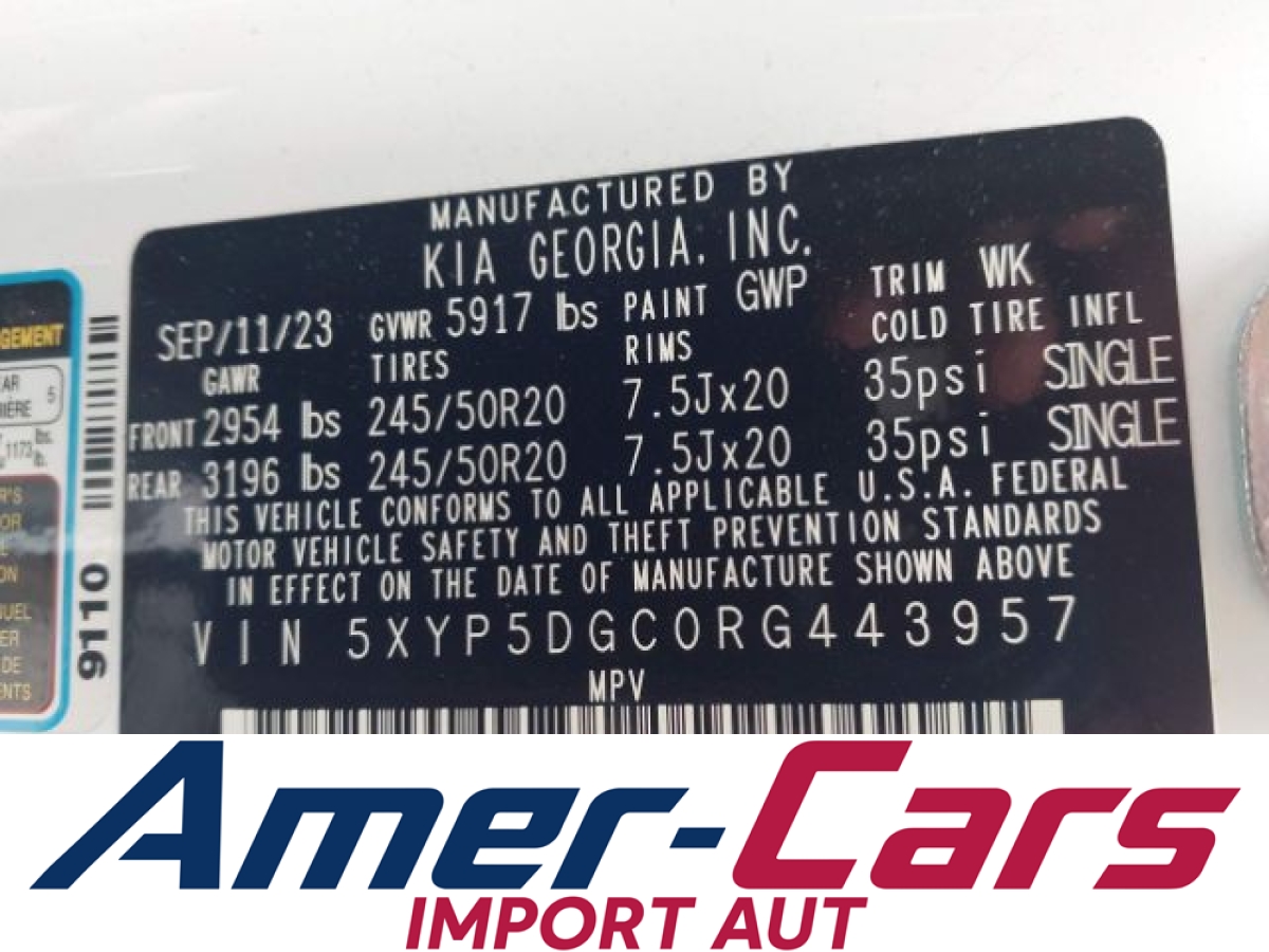 Kia Telluride 2024 10