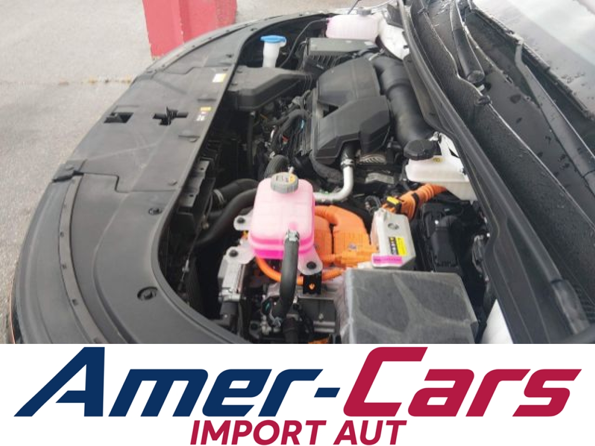 Kia Carnival 2026 11