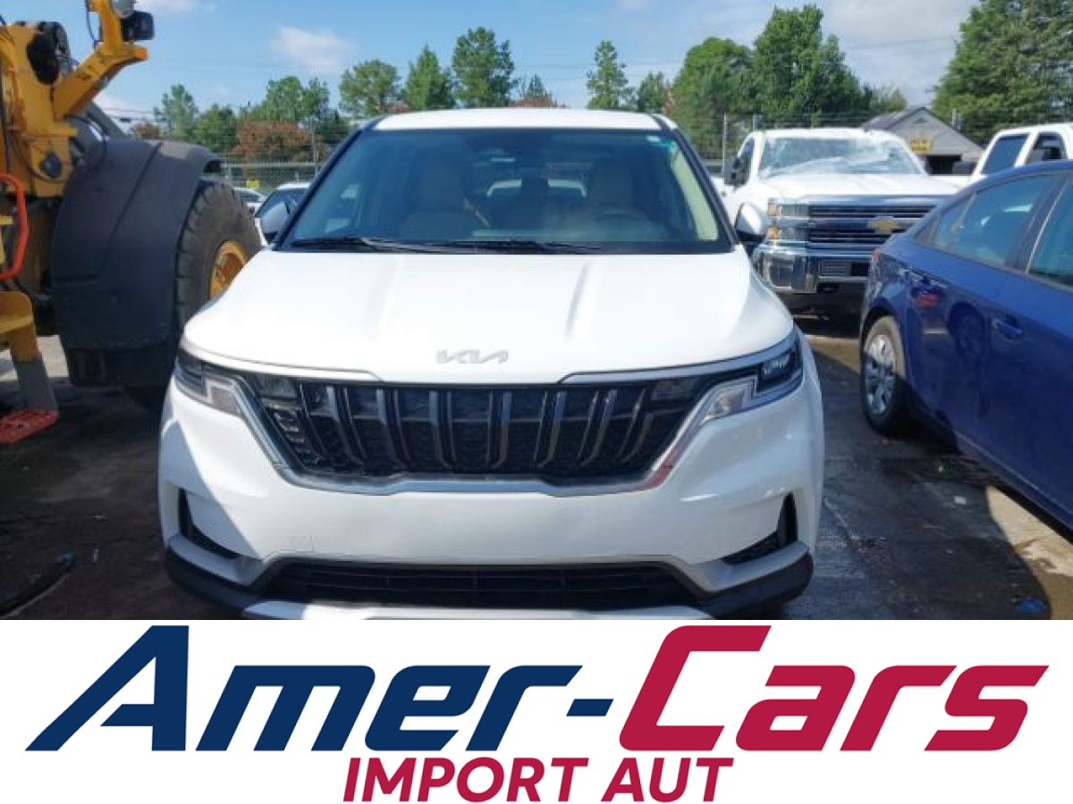 Kia Carnival 2024 14