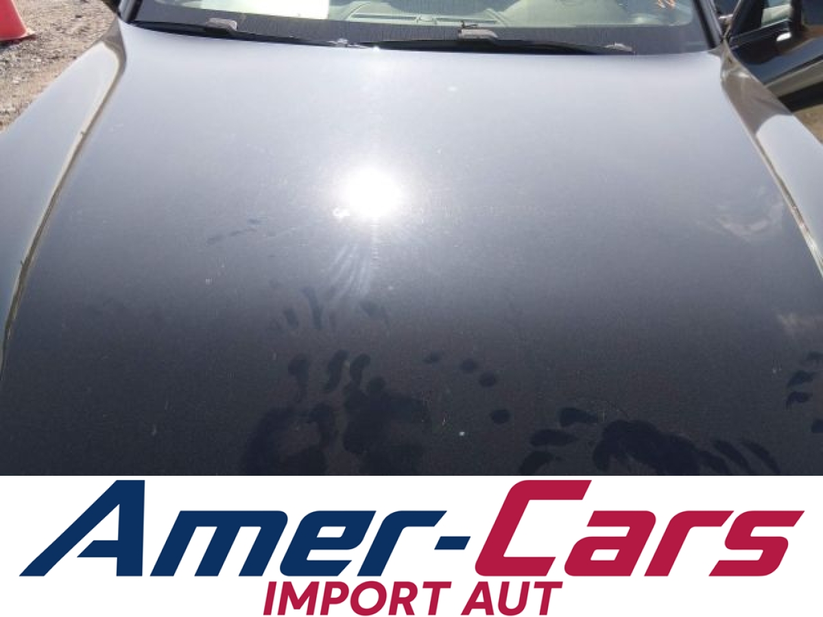 Volvo XC 40 2025 11
